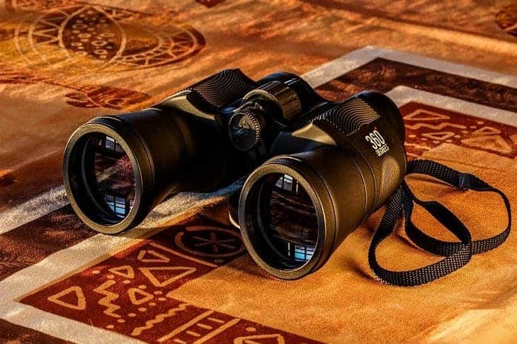 Best Binoculars Under 100