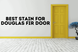 Best Stain for Douglas Fir Door