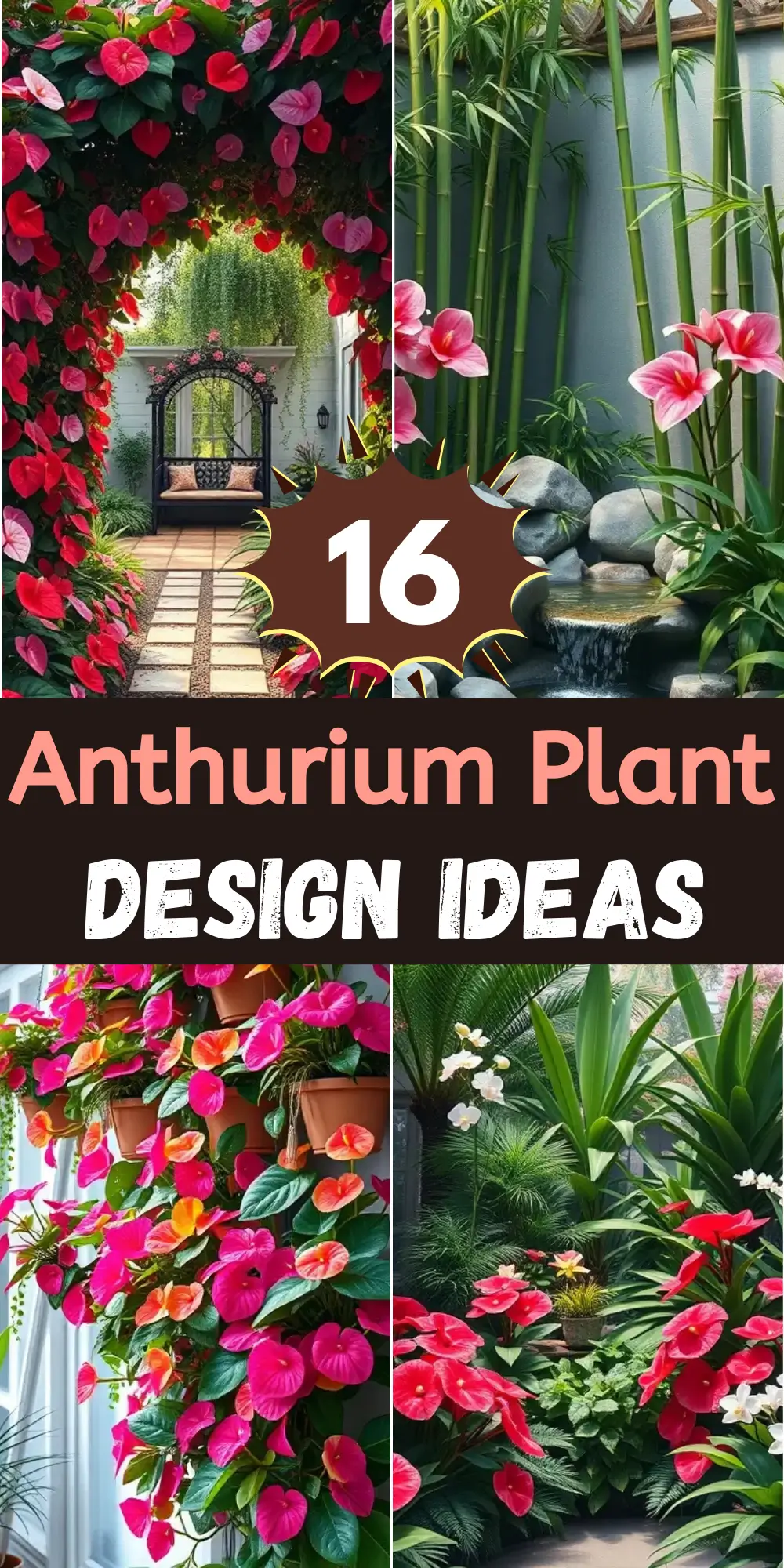 Beautiful Anthurium Plant Designs to Enrich Indoor Area
