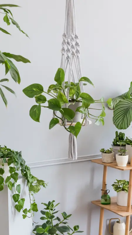 DIY Hanging Shelves Idea 11