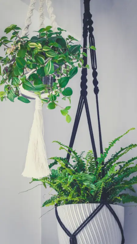 DIY Hanging Shelves Idea 19