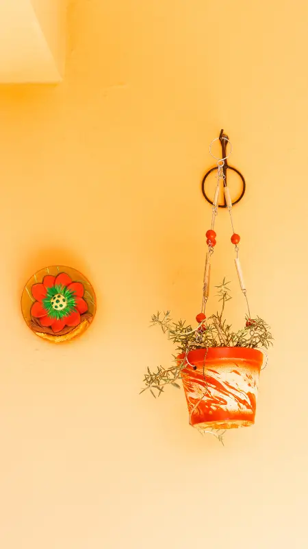 DIY Hanging Shelves Idea 2