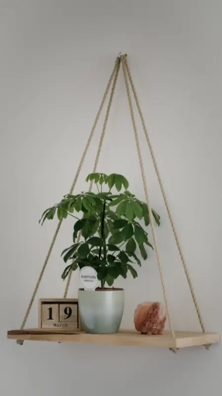 DIY Hanging Shelves Idea 4