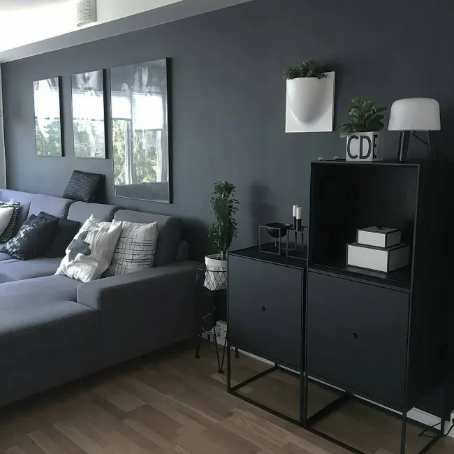 Charcoal Sofa Living Room Ideas 12