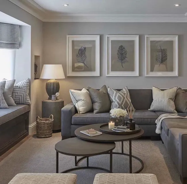 Charcoal Sofa Living Room Ideas 23