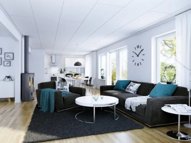 Charcoal Sofa Living Room Ideas 29