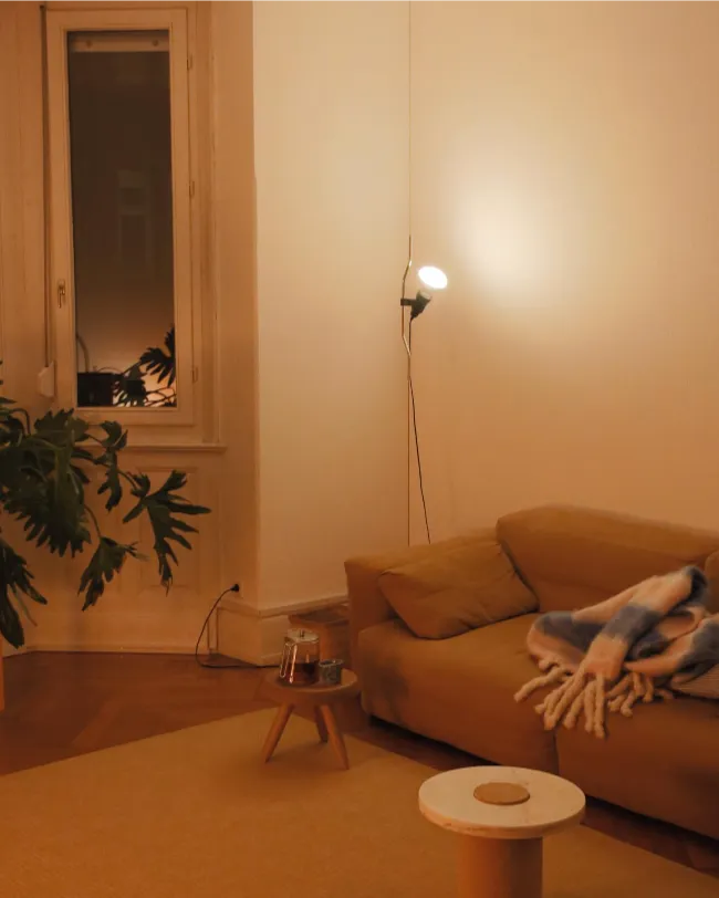 Cozy Mid century modern living room 12