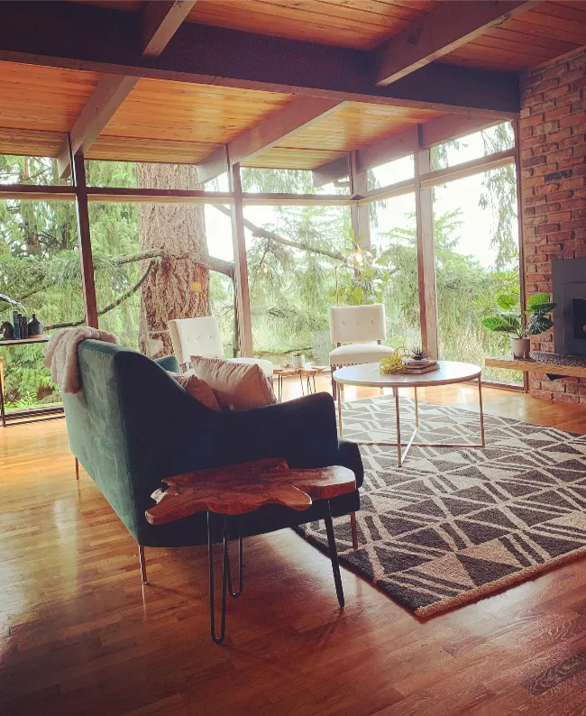 Cozy Mid century modern living room 21