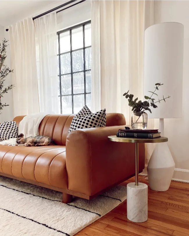 Cozy Mid century modern living room 5