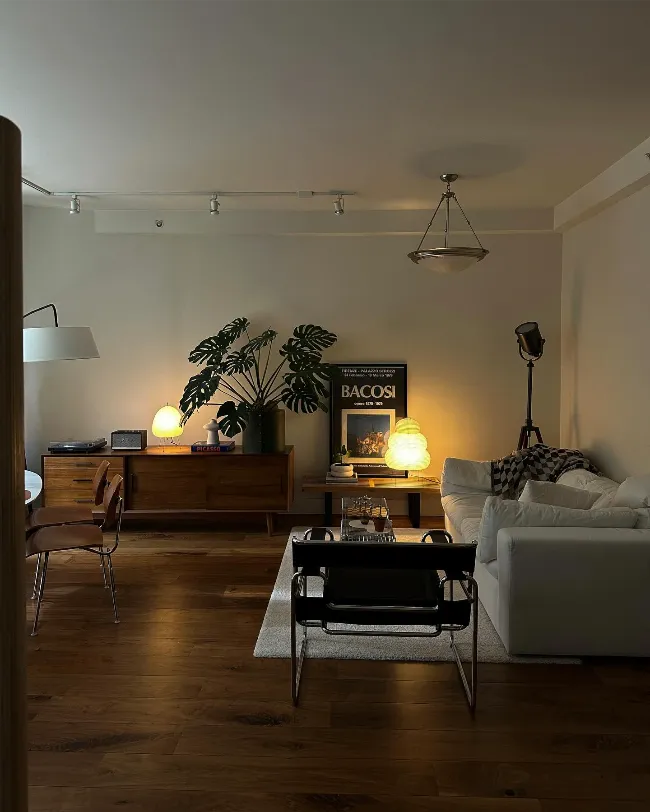 Cozy Mid century modern living room 7