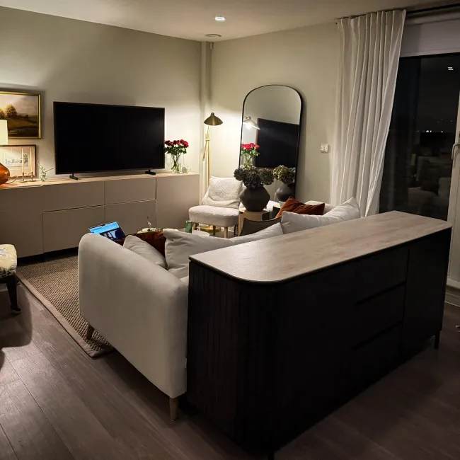 Tiny Condo Interior Design 1