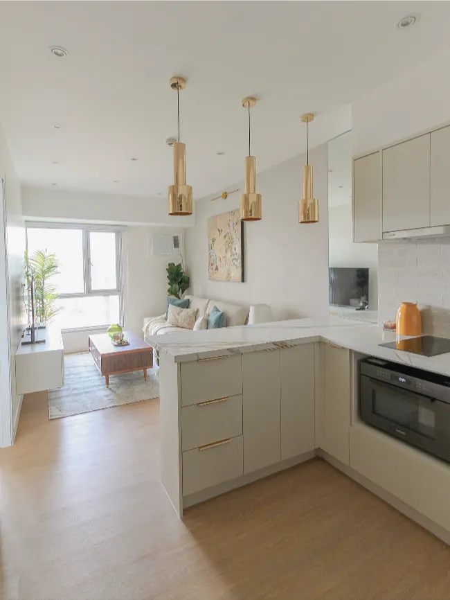 Tiny Condo Interior Design 10