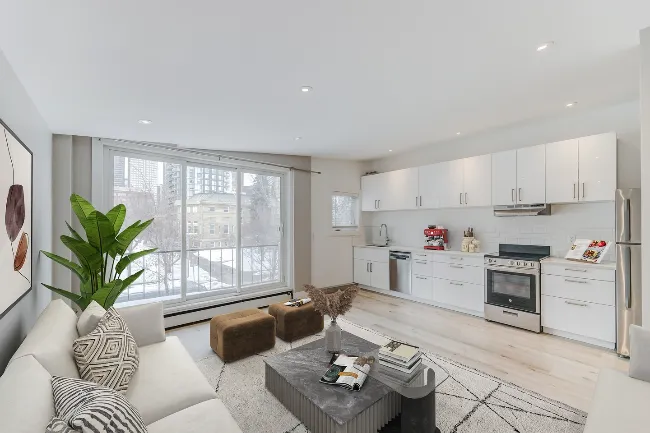 Tiny Condo Interior Design 3
