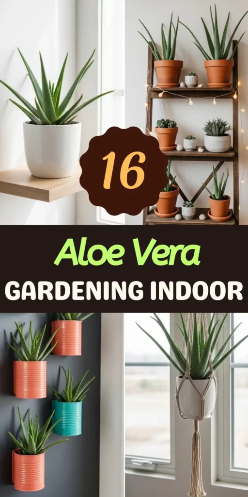 Aloe Vera Gardening: Creative Ideas to Brighten Your Space