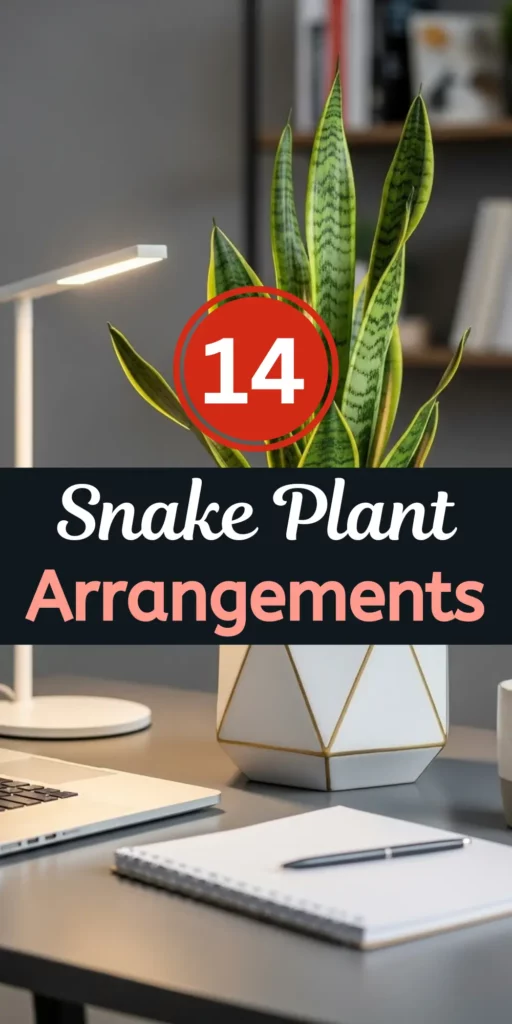 Stylish Snake Plant Arrangements for a Beautiful Home Environment