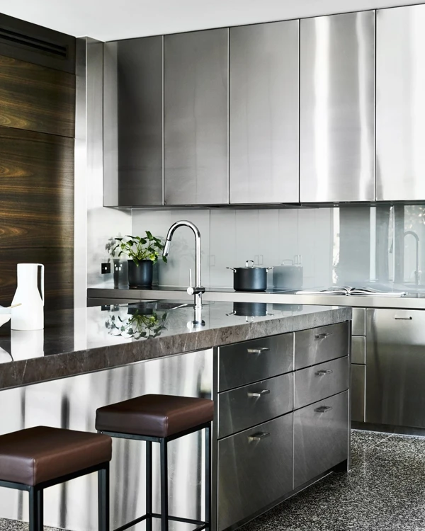 Metallic Kitchen design ideas