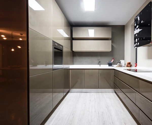 Metallic Kitchen design