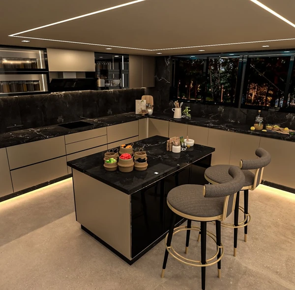 Metallic Kitchen design