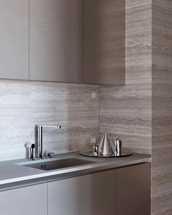 Metallic Kitchen design