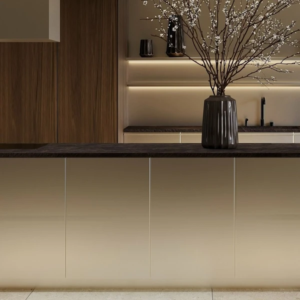 Metallic Kitchen design