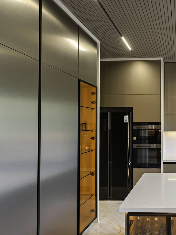 Metallic Kitchen design