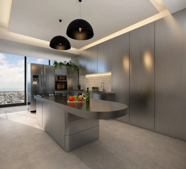 Metallic Kitchen design