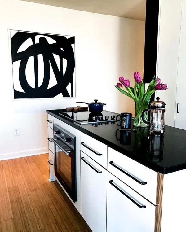 Bold Graphic Kitchen Statement