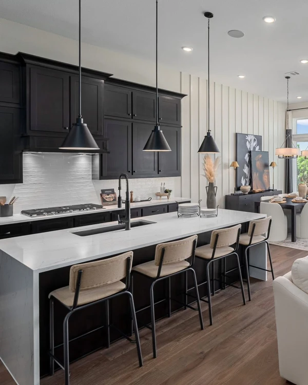 Modern Black and White Kitchen Contrast
