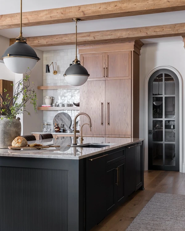 organic modern kitchen