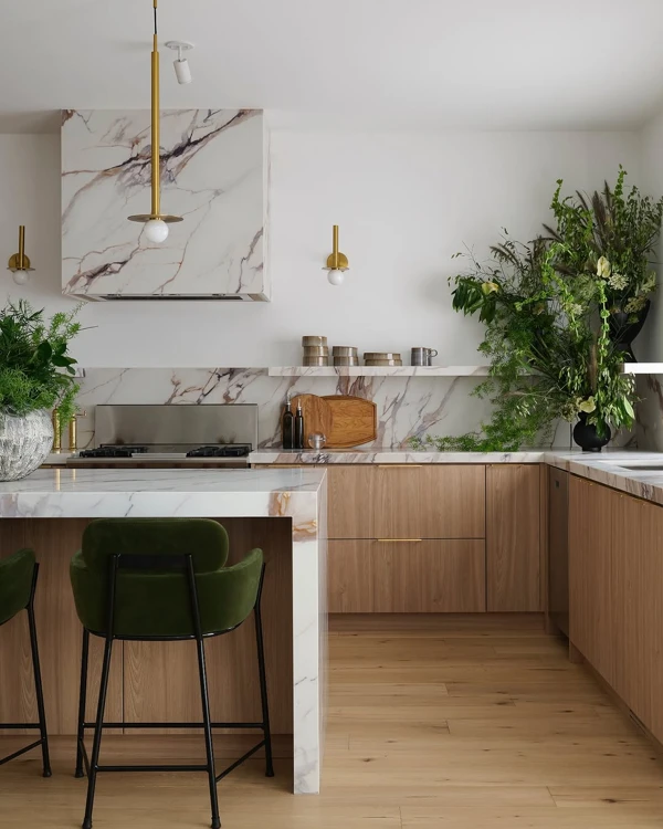 organic modern kitchen