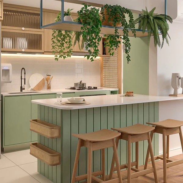 Hanging Plants Transform Sage Spaces