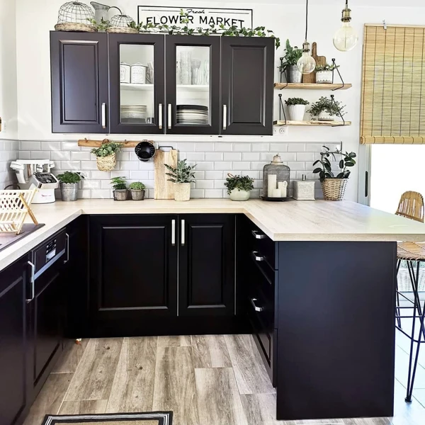Black Cabinets, Botanical Soul